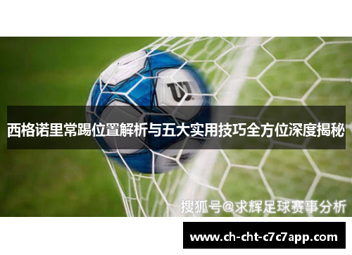 西格诺里常踢位置解析与五大实用技巧全方位深度揭秘