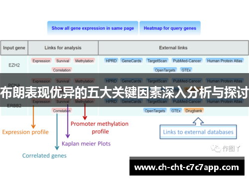 布朗表现优异的五大关键因素深入分析与探讨 布朗表现优异的五大关键因素深入分析与探讨