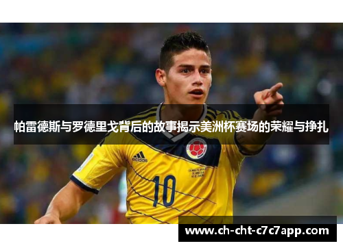 帕雷德斯与罗德里戈背后的故事揭示美洲杯赛场的荣耀与挣扎
