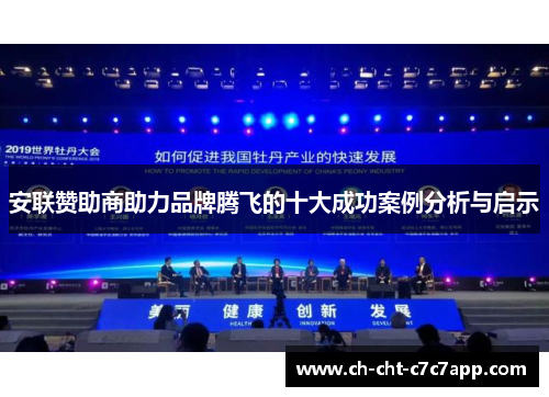 安联赞助商助力品牌腾飞的十大成功案例分析与启示