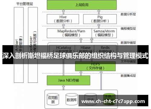 深入剖析斯坦福桥足球俱乐部的组织结构与管理模式