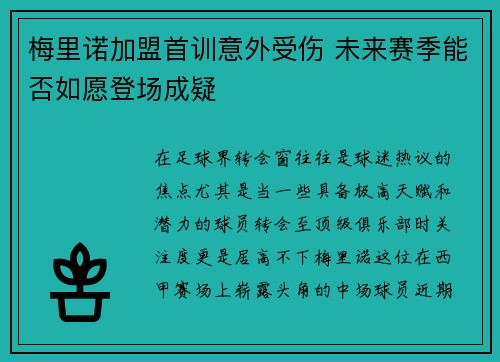 梅里诺加盟首训意外受伤 未来赛季能否如愿登场成疑
