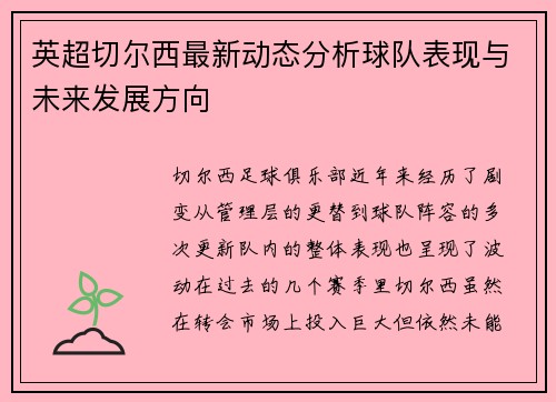 英超切尔西最新动态分析球队表现与未来发展方向